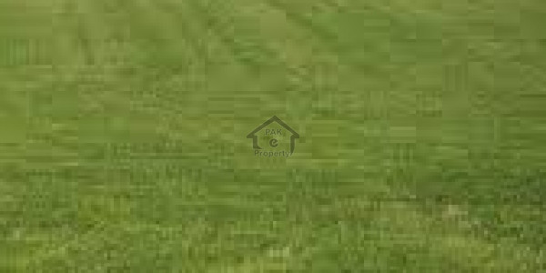 I141 25x60 Level Plot For Sale