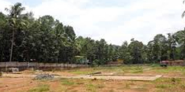 Residential Plot Is Available For Sale