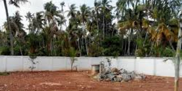 2400 Yards 120 Ft Front On Main Oman Grant Road - Best For Commercial Warehouse And Showroom