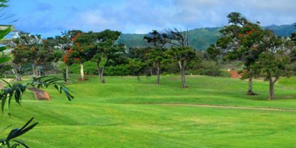 P Block Plot For Sale 7 Marla