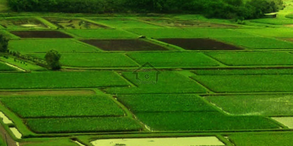 Residential Plot Available For Sale