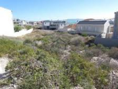 Upper Portion Available for Rent