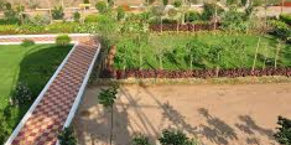 Commercial Pair Of Plot 4 Marla Each In DHA Phase 2 - Sector A