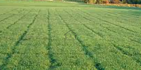 Commercial plot for sale