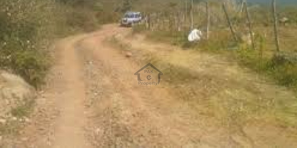 9 Marla Pair plots at investment rate