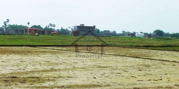 5 Marla Pair Commercial Plot For Sale