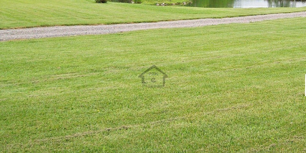 Residential Plot Is Available For Sale