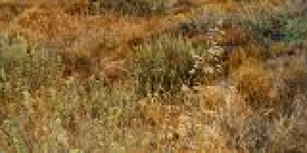 Cheapest Price Ideal Locations Residential Plot Available For Sale In DHA 9 Town C Block