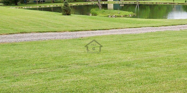 Residential Plot For Sale