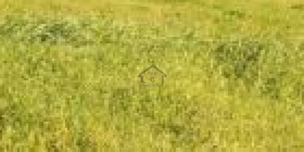 Level Plot Is Available For Sale