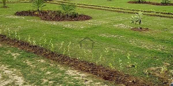 Residential Plot Is Available For Sale