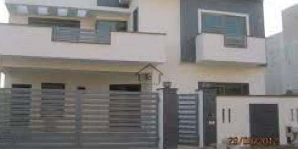 Brand New Basement For Rent