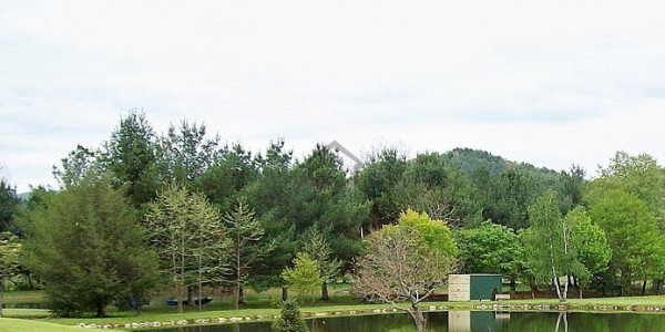 30x60 Plot For Sale On Installments In Faisal Residencia