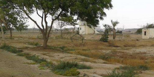 Residential Plot For Sale In M Sector All Dues Clear