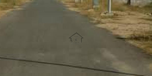 Boulevard Back Pair Plot available