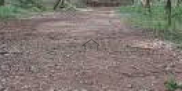 Plot Of 8 Marla Available For Sale