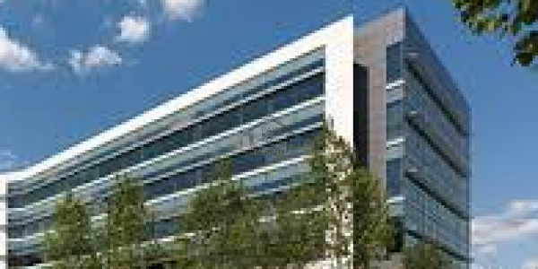 Blue Area - 880 Sq/ft Ground Floor Office For Rent