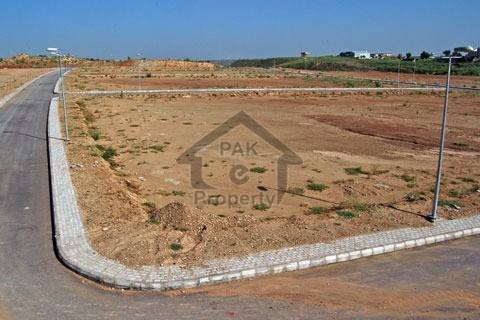 Plot Is Available For Sale