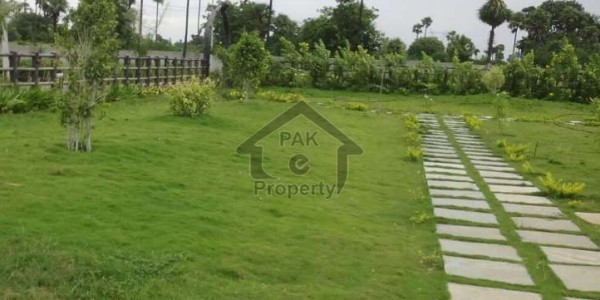 Plot Is Available For Sale