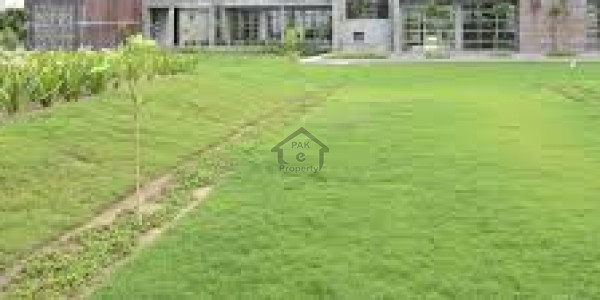 Excellent Piece Of Property