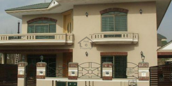 Office Cum Warehouse For Rent