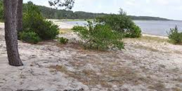 Lahore Askari Marketing Offers 1 Kanal Residential Plot For Sale Prime Location Near Park Mosque Mar