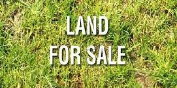 Pair Commercial Plot Is Available For Sale