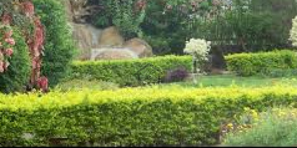 Residential Plot Is Available For Sale