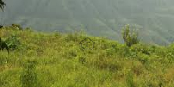 D-12/1 plot for sale