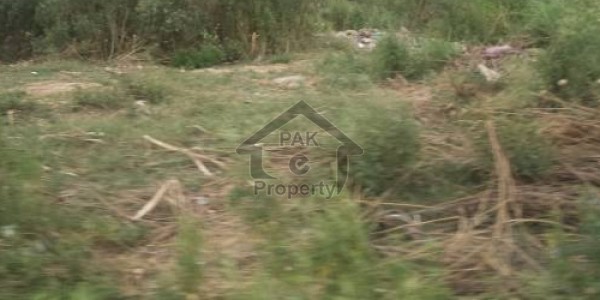 Plot Available For Sale in C-15 On Beautiful Location