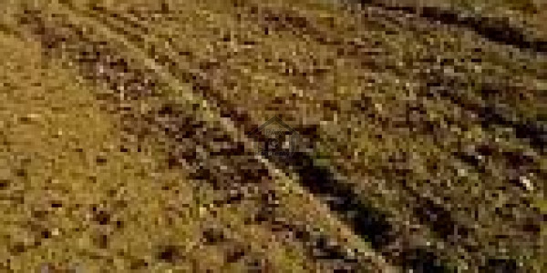 Prime Location Plot Urgent For Sale