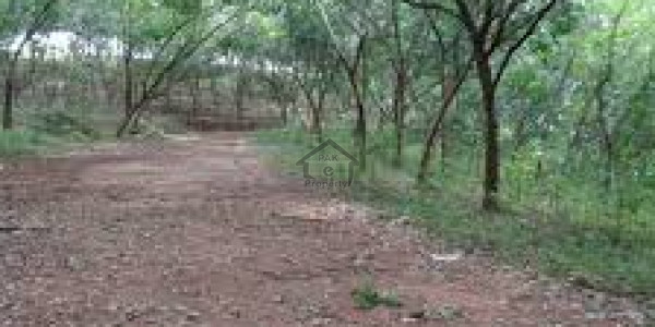 Residential Plot Is Available For Sale