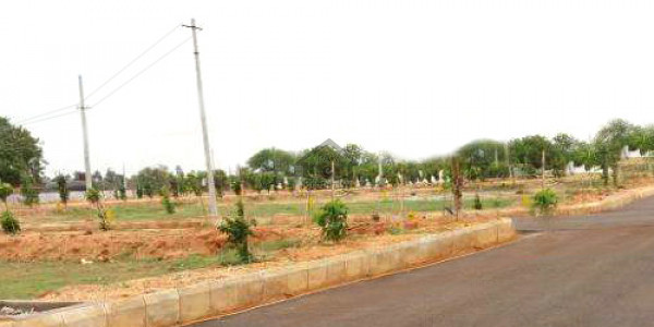 Excellent Location Corner Plot No 446