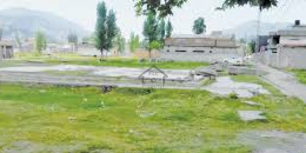 Corner Plot 35x70 In D-12