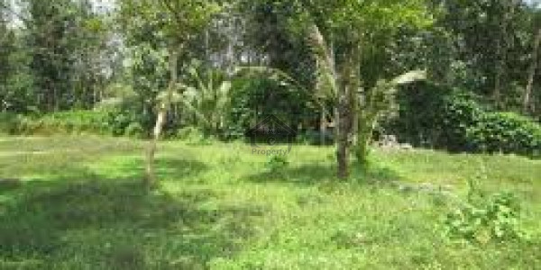 Plot For Sale
