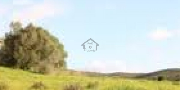 Corner Residential Plot Is Available For Sale