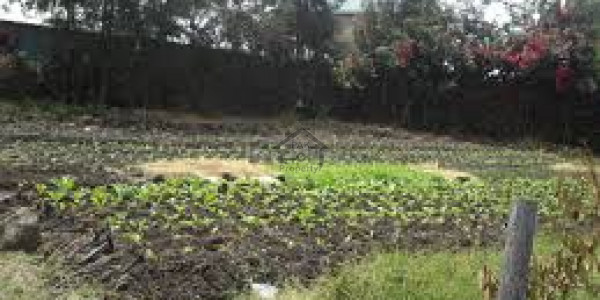 Residential Plot Is Available For Sale
