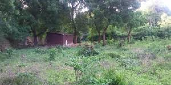 Residential Plot Is Available For Sale