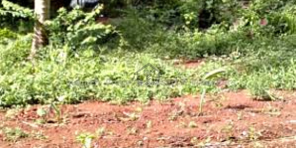 Residential Plot Is Available For Sale