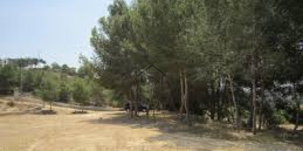 Residential Corner Plot Is Available For Sale