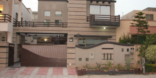 Open Basement Available On Rent