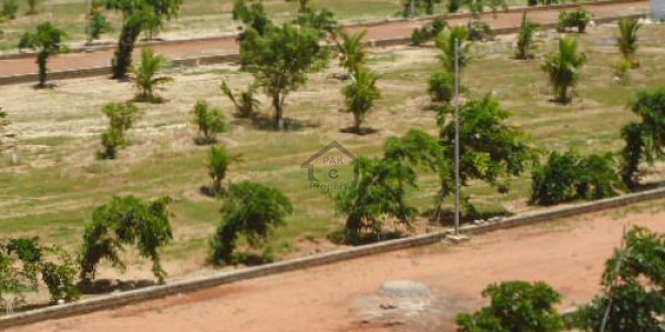 H Block 5 Marla Plot For Sale