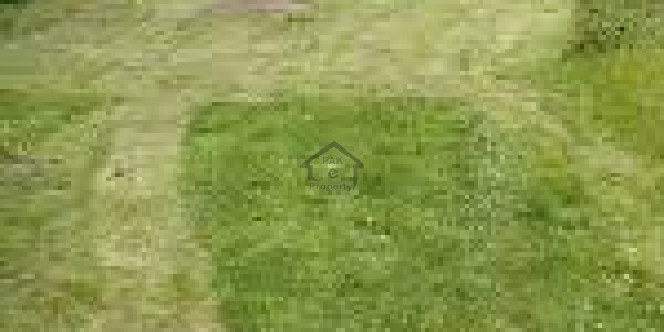 Residential Plot Is Available For Sale