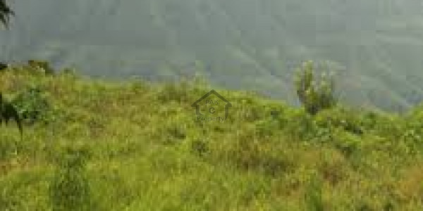 Residential Plot Available For Sale