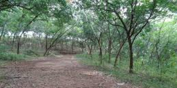 Residential Plot Is Available For Sale