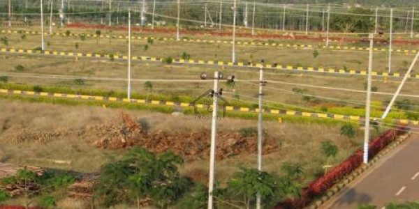 Plot File Is Available For Sale