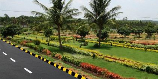 Commercial Corner Plot Is Available For Sale