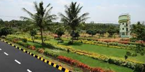 25x40 3 Side Corner Plot D-12/4