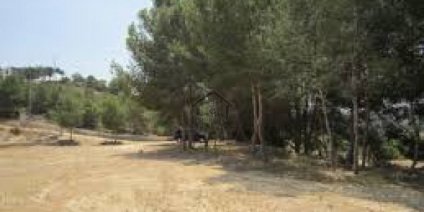 Residential Plot Available For Sale