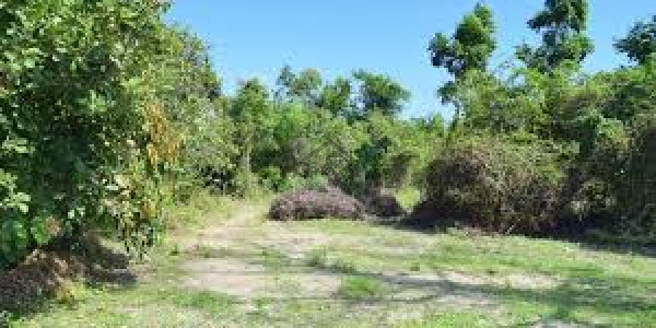 Residential Plot Available For Sale